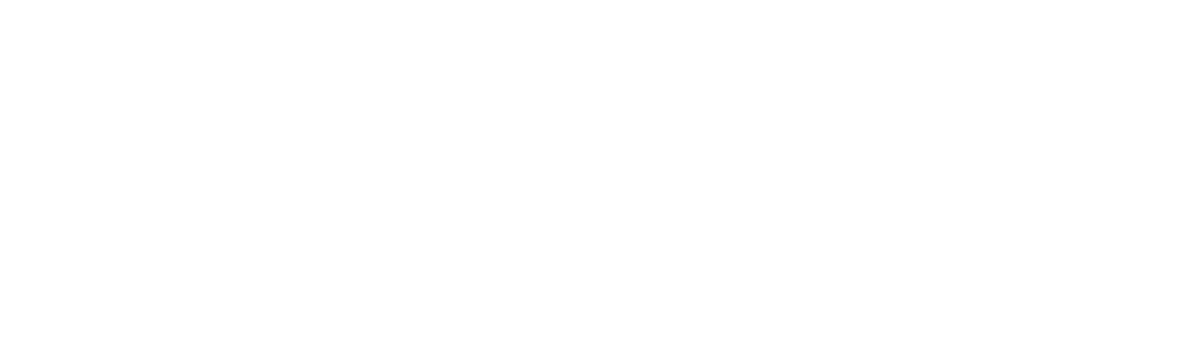 FYSU Logo